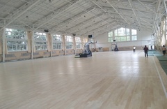 ���ɹŎ�����WӖ���^