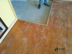 �е��\�ӻ@��ľ�ذ尲�b��˾